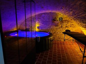 Appartements Les bulles de Lys : Appartement 1 Chambre