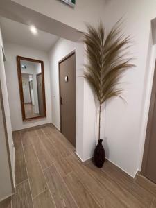 B&B / Chambres d'hotes La Topaze : photos des chambres