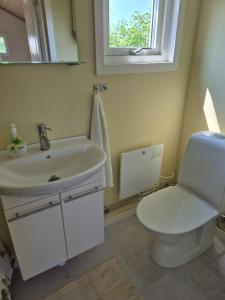 Liten stuga nära hav och natur