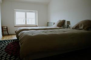 Cozy house with garden, comfort for 6 people