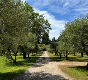 Villas Tres Elegant Mas Provencal : photos des chambres