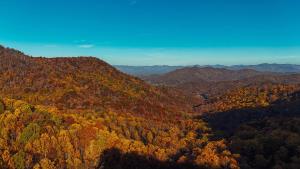 Multiple cabins at Cabin Fever