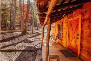 Multiple cabins at Cabin Fever