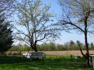 Appartements Jardin Fleuri : photos des chambres