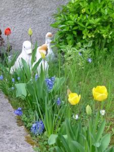 Appartements Jardin Fleuri : photos des chambres