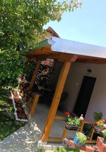 Apartmani Petrović