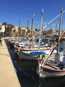 Maisons de vacances Coquelicot Classic Provencal House : photos des chambres