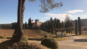 Maisons de vacances Coquelicot Classic Provencal House : photos des chambres