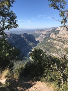 Maisons de vacances Coquelicot Classic Provencal House : photos des chambres