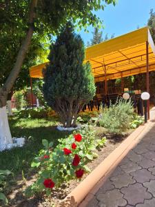 Vila Tropical