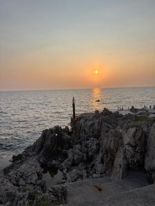 Apartments and Studios Anicic