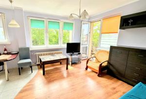 Apartament Mewa centrum