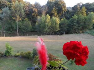 Appartements B&B la riviere : photos des chambres