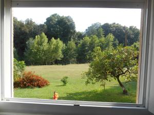 Appartements B&B la riviere : photos des chambres