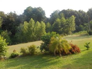 Appartements B&B la riviere : photos des chambres