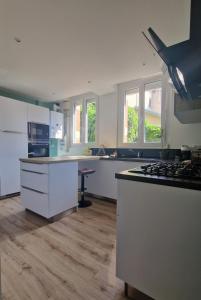 Appartements Magnifique appartement avec terrasse au centre Epinal : photos des chambres