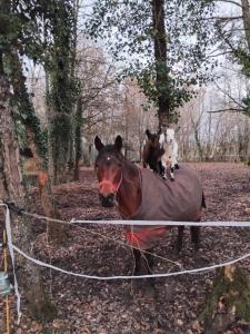 Gite de vacance perigord