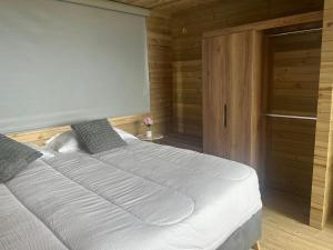 Cabaña de lujo alpina