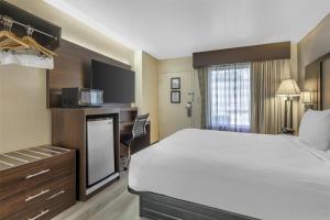King Room with Sofa Bed - Non-Smoking room in Best Western Salisbury Plaza