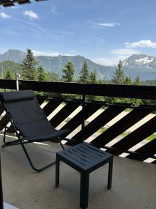 Appartements L Evidence, 4 a 5 couchages, 1 chambre, cellier, Meuble de Tourisme 3 etoiles, vue degagee, parking gratuit : photos des chambres