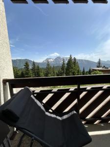 Appartements L Evidence, 4 a 5 couchages, 1 chambre, cellier, Meuble de Tourisme 3 etoiles, vue degagee, parking gratuit : photos des chambres