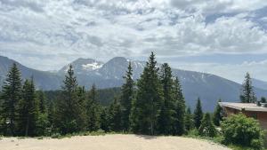 Appartements L Evidence, 4 a 5 couchages, 1 chambre, cellier, Meuble de Tourisme 3 etoiles, vue degagee, parking gratuit : photos des chambres