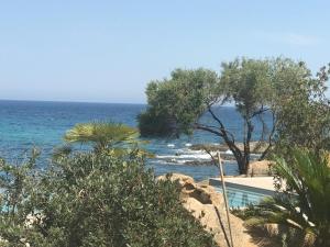 Appartements Haut standing- Face a la mer! 3 chambres-piscine semi olympique : photos des chambres