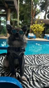 Lugar incrível na Serra da Cantareira com Piscina, Banheira com hidro, área para Festas e pet friendly para cães