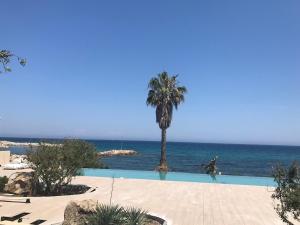 Appartements Haut standing- Face a la mer! 3 chambres-piscine semi olympique : photos des chambres