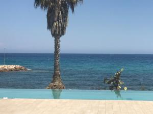 Appartements Haut standing- Face a la mer! 3 chambres-piscine semi olympique : photos des chambres