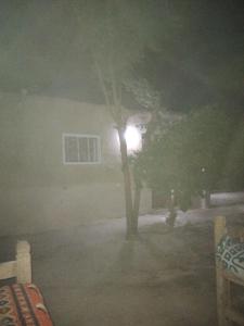 Gateway to the stars camp&restarant