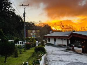 Hortensias Chalets Vara blanca