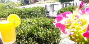 Liberty Homes ,Ai Gordis Notou