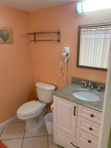 Seawall Strolls & Sunset Sips - Ocean View