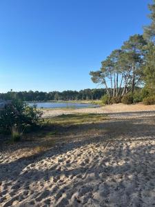 Maisons de vacances La parenthese au pied du lac : Maison 1 Chambre
