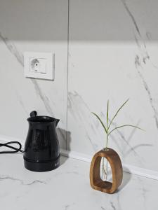 ST Central Home