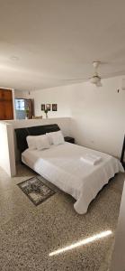 Zona Rosa Loft 3 huéspedes