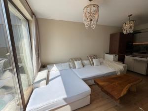 The Portal Infinity pool and barbecue