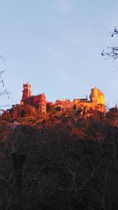 Sintra Real Apartment