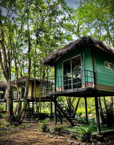 ECOCAMPING JACAMAR
