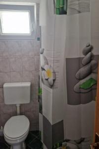 Apartments with parking space Vir - 24614