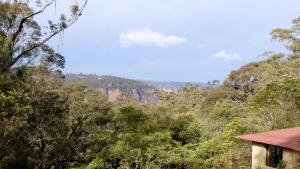 Cliff Drive On Honeymoon Point