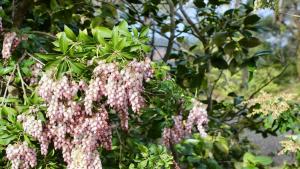 Cliff Drive On Honeymoon Point