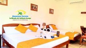 La Mirada Del Solitario George