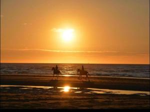 Apartment Ter Poel for six Person