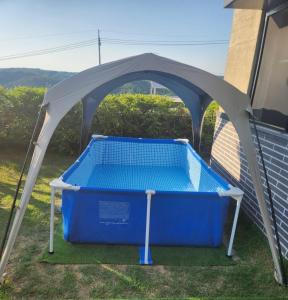 Yeoncheon Healing With Dog