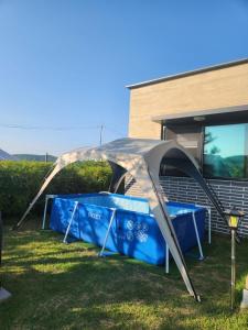 Yeoncheon Healing With Dog