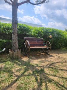 Yeoncheon Healing With Dog