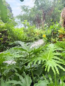 Tam Coc Golden Fields