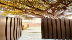 Get Sense Apto pé na areia